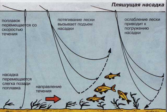 нетрадиционные метод ловли нетрадиционные метод ловли