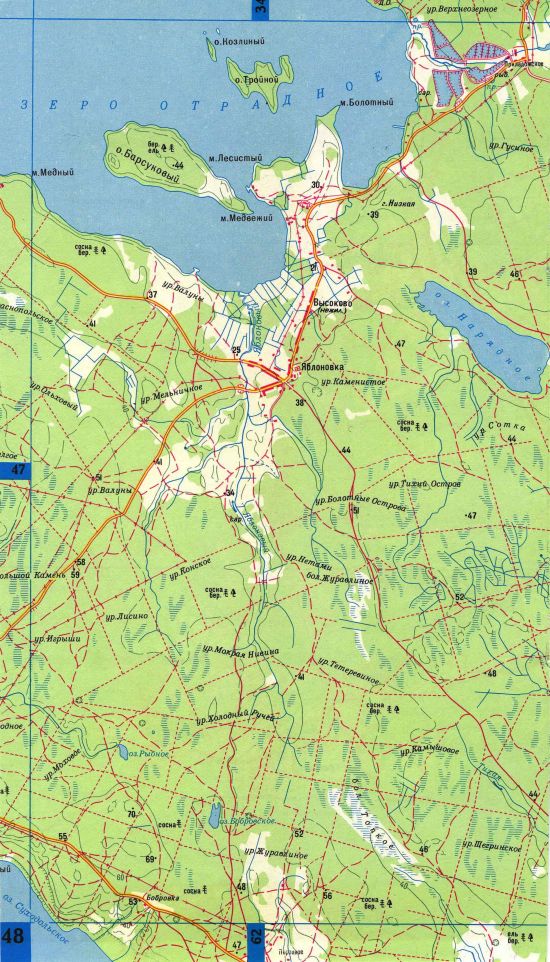 Карта карельского перешейка подробная с лесными дорогами и деревнями